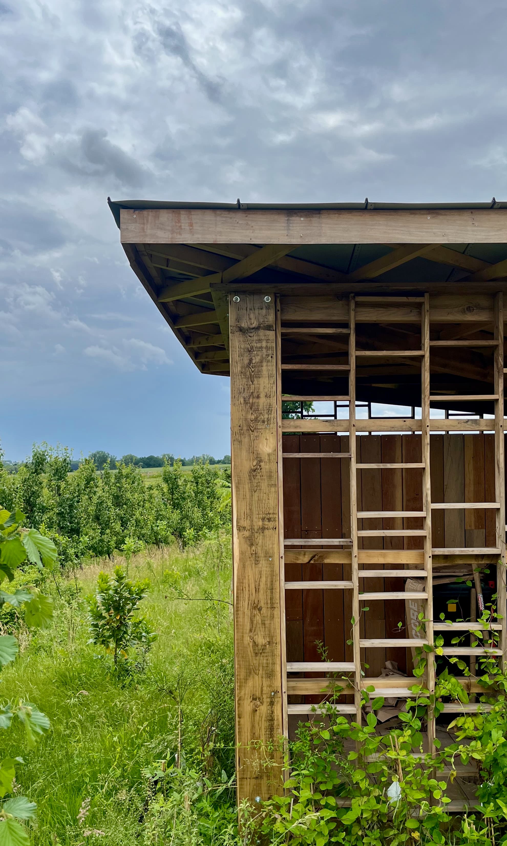 Garden Shed - Image 4