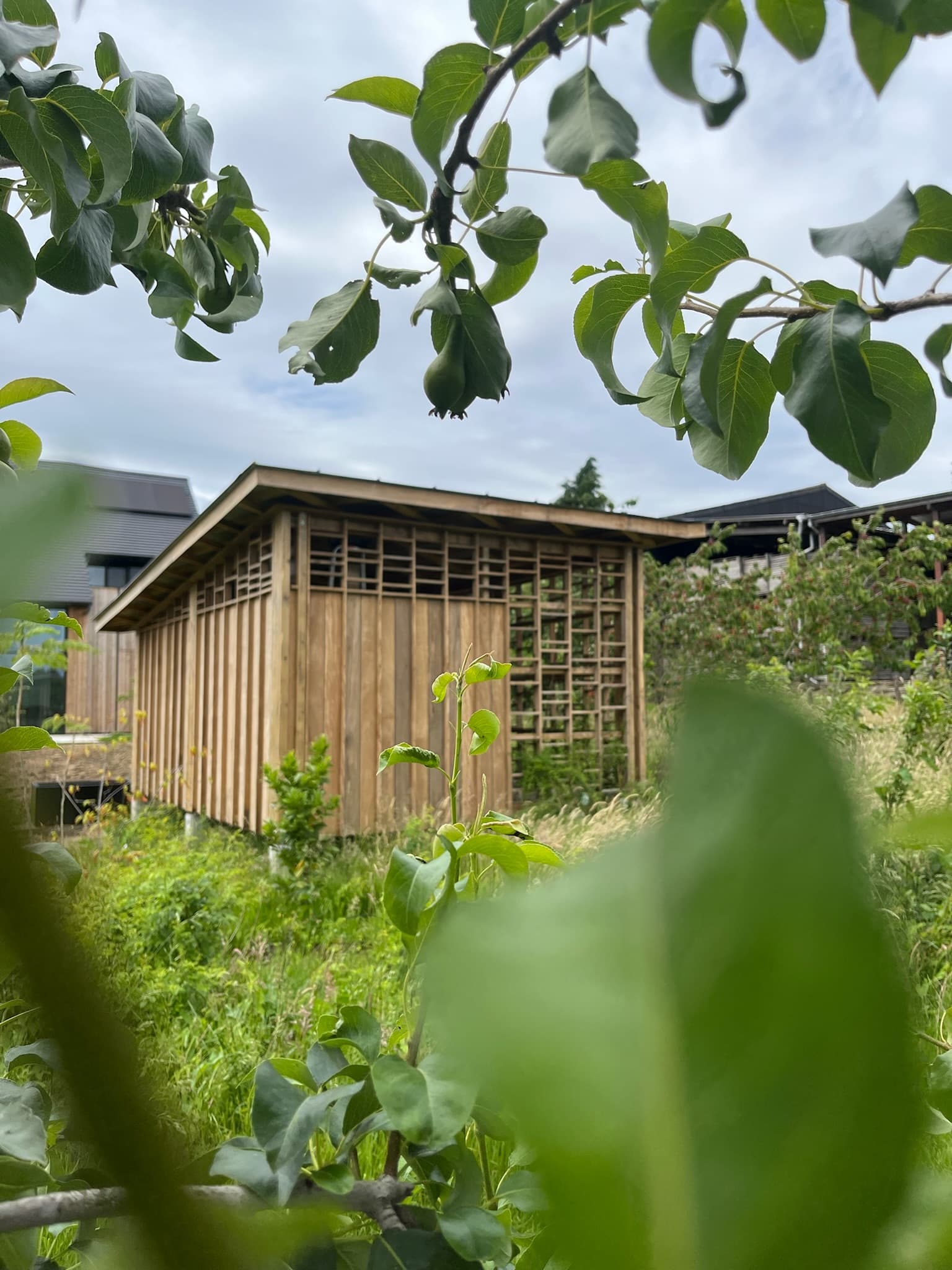 Garden Shed - Image 2