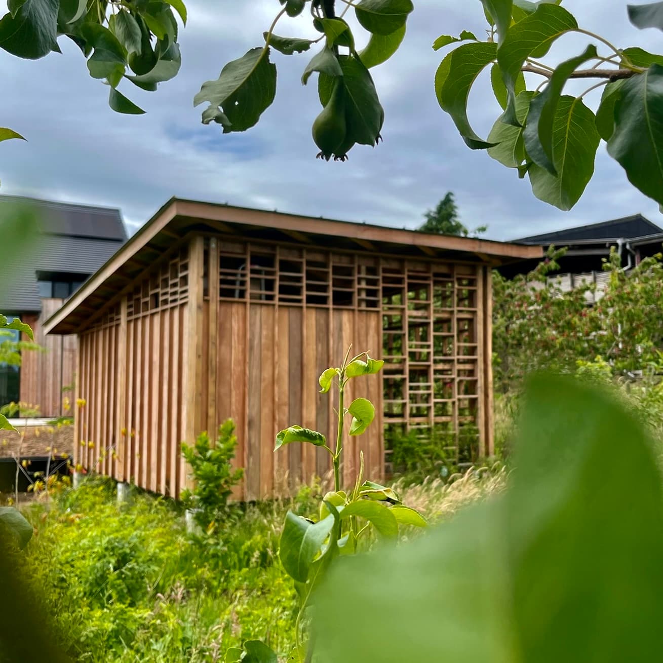 Garden Shed