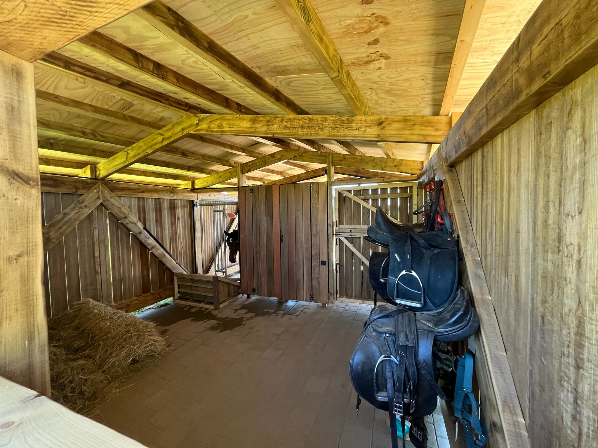 Horse Shed - Image 4
