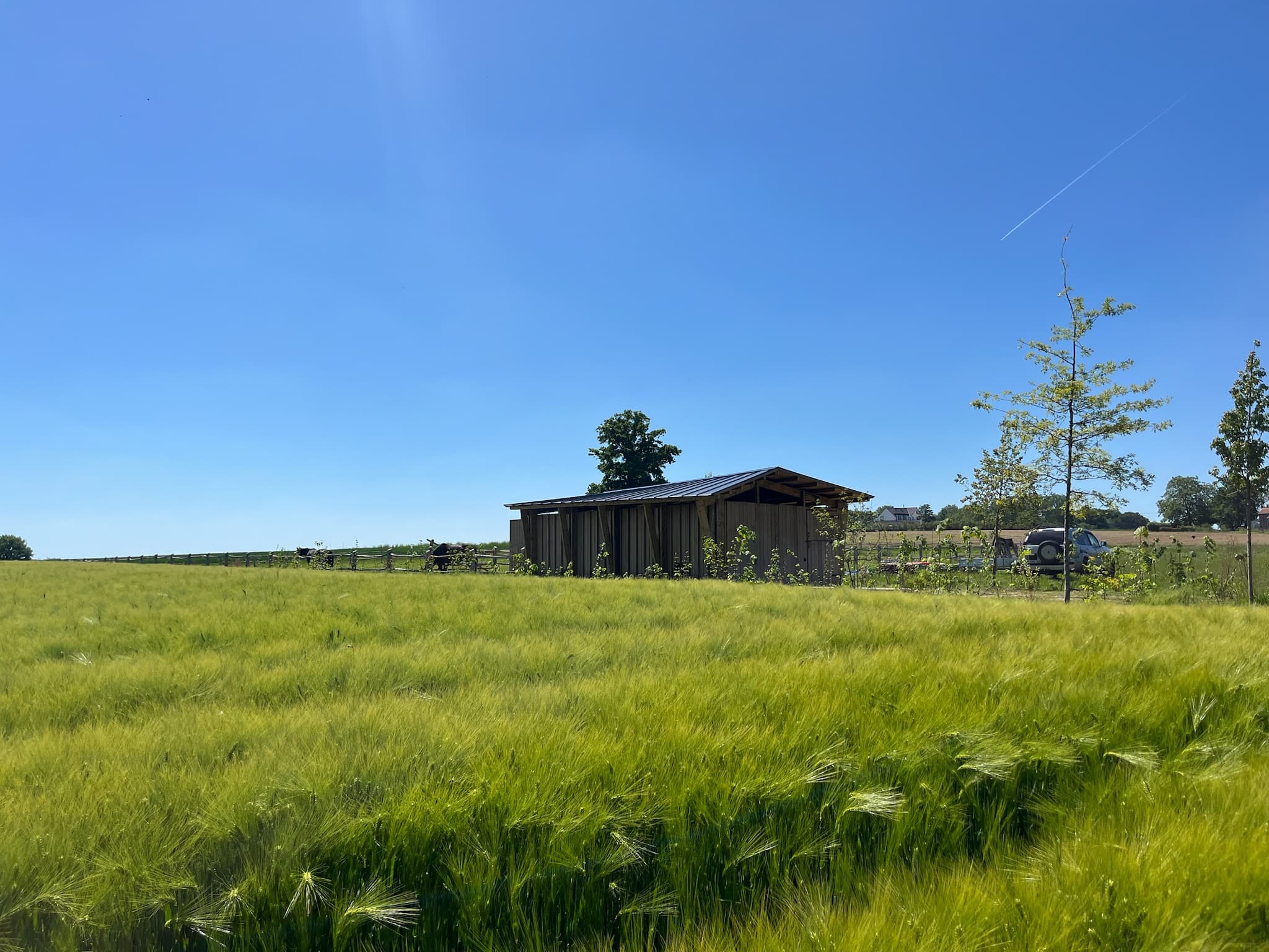 Horse Shed - Image 7